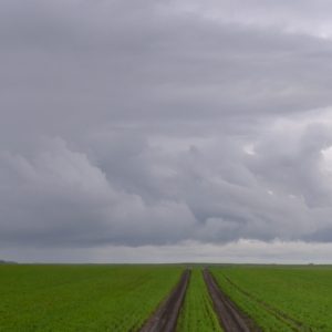 hunt down the old ideas whose time has come.