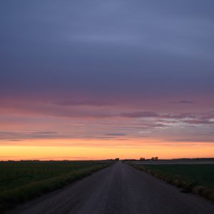 thread the dissolution with beauty.