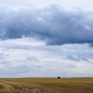 eat your heart out, pull it up a chair.