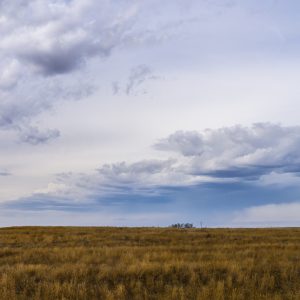 grow a skin of sand beneath your shirt