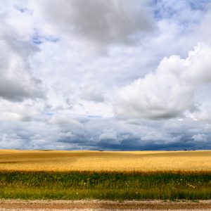 believe your soul is wind, and your bones are steam.