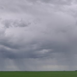 fit into your skin, sifted through your sins.