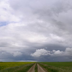 doubt the echo of your certainty