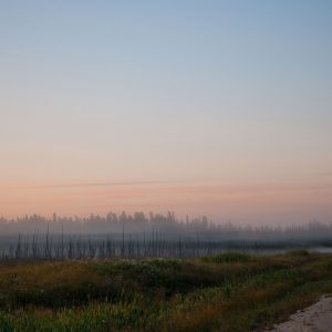 to say more than I can say