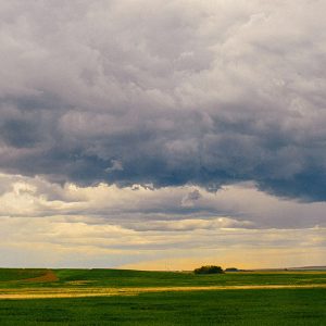 with beating fists and open minds