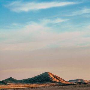 the soul is not piecemeal