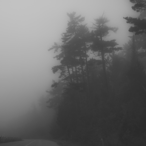 As if obilivion whispered in our ears