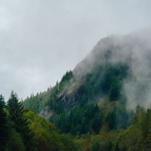 life means mostly waiting for life