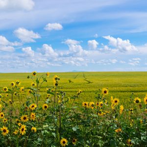 I must remember this