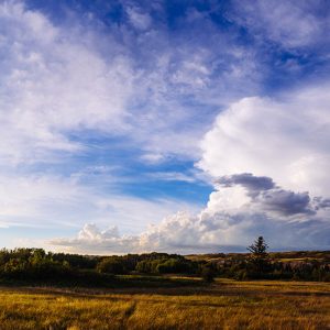 My heart is gold. My feet are light