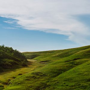 don't close your eyes