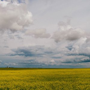 The pressure on your lungs