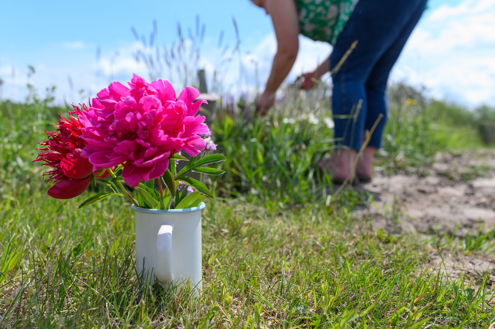Prairie Bears Cider Company
