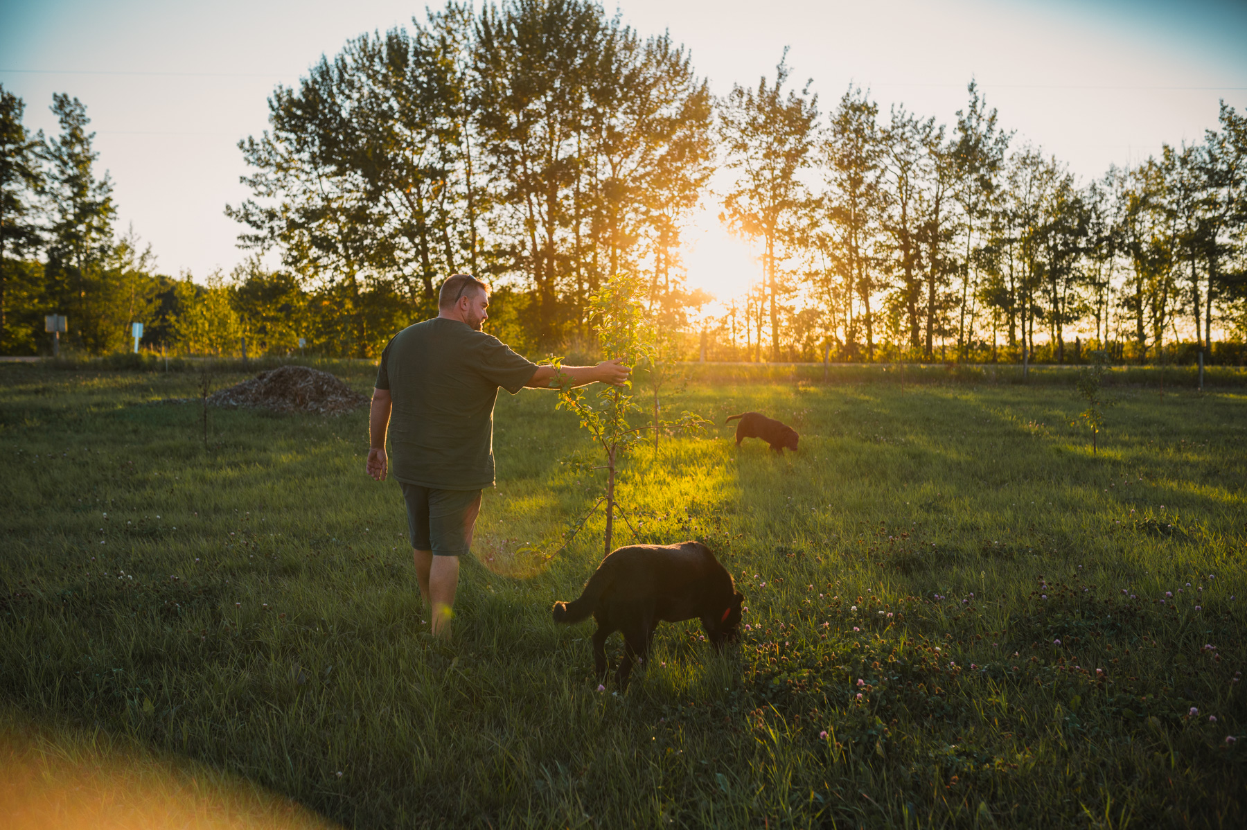 Prairie Bears Cider Company