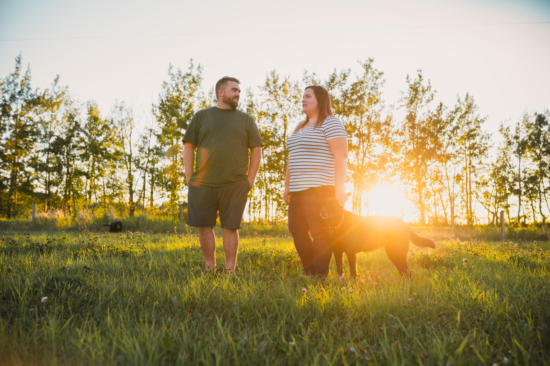 Prairie Bears Cider Company
