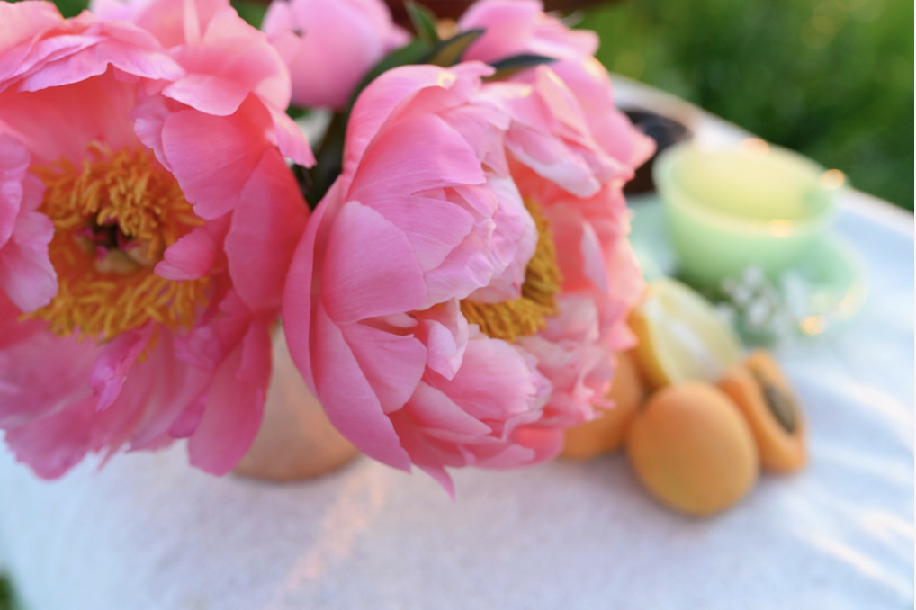 Prairie Bears Cider Company