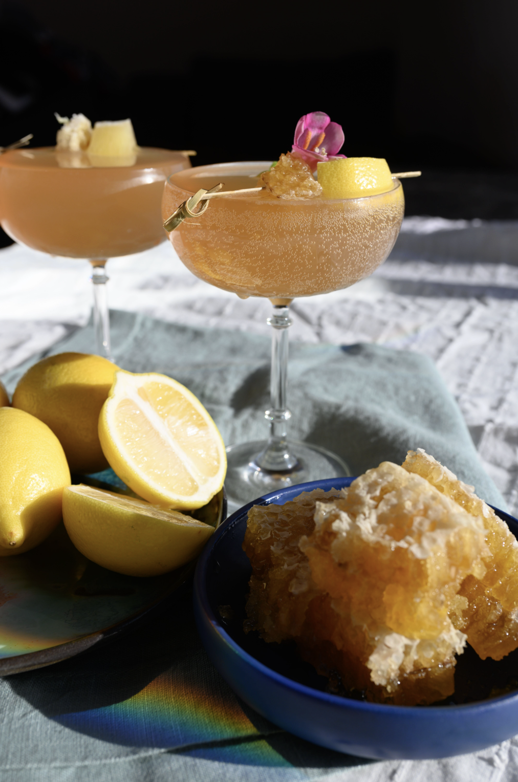 Prairie Bears Cider Company