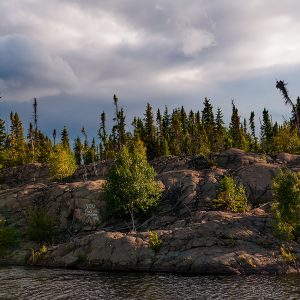 you fucking complete me